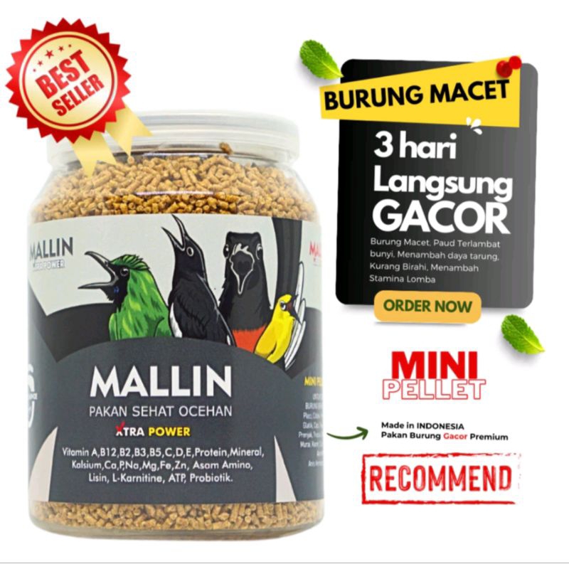 VOER MALLIN PAKAN VOER MALIN PENGGACOR BURUNG CENDET PLECI CIBLEK  MURAI KACER CUCAK IJO ANIS MERAH 