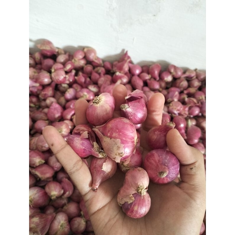 

BAWANG MERAH 500gr
