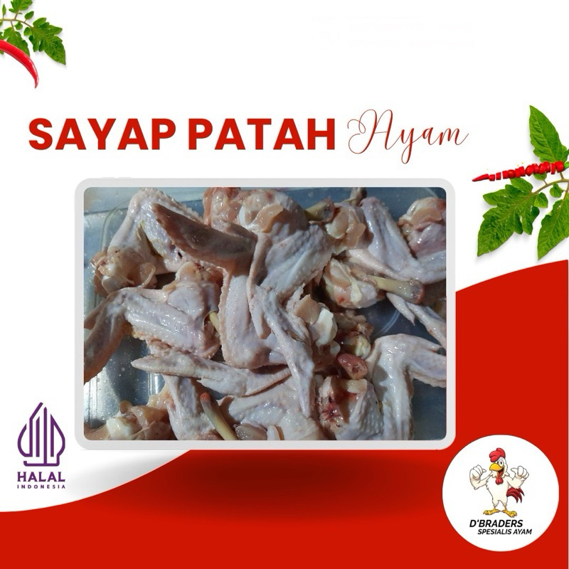 

Sayap Patah Ayam