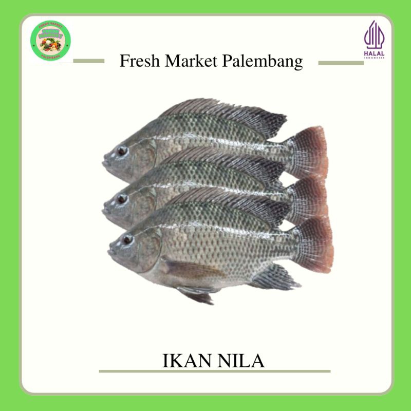 

Ikan Nila -Fresh Market Palembang-