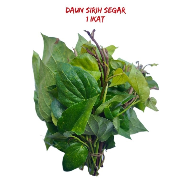

Daun sirih / daun sirih segar 1 ikat