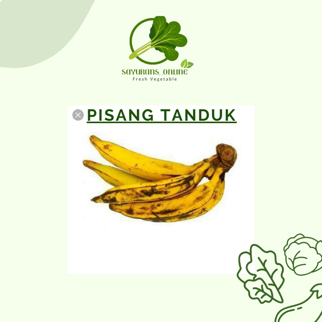 

pisang tanduk / pisang candi 1 sisir