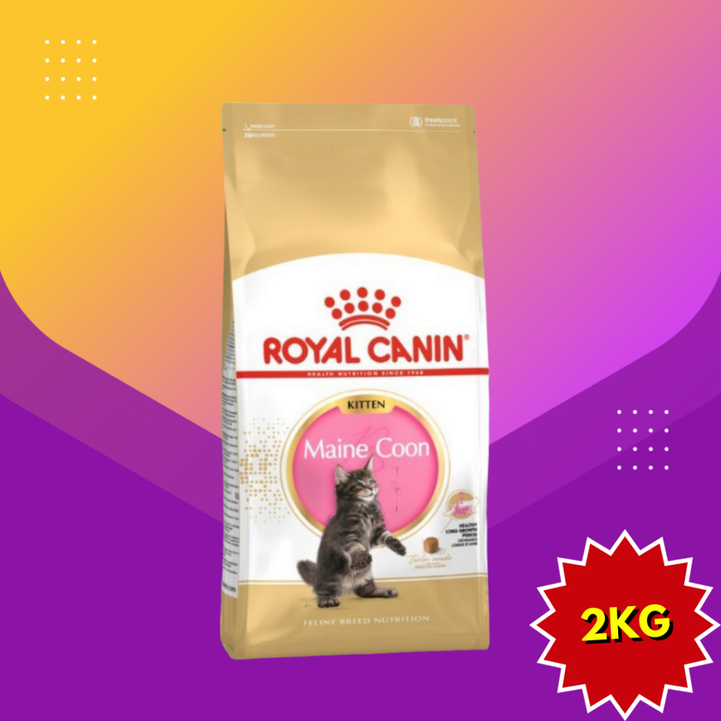 Royal Canin Maine Coon Kitten 2kg