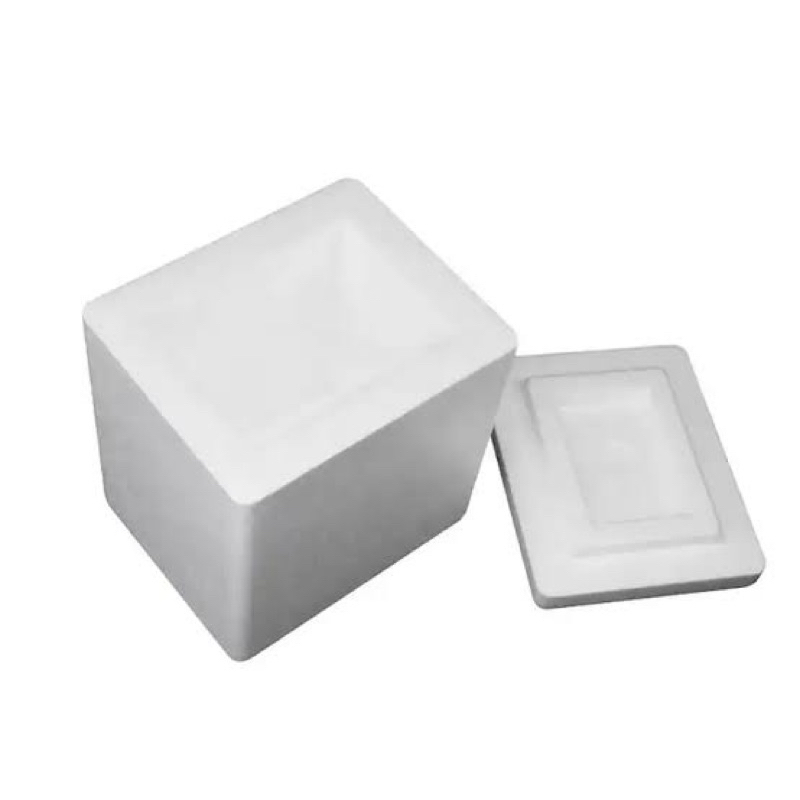 Stereofoam Kecil Tanggung Besar Sterofoam Daging Ice Es Batu Segala Macam Ukuran Box Es