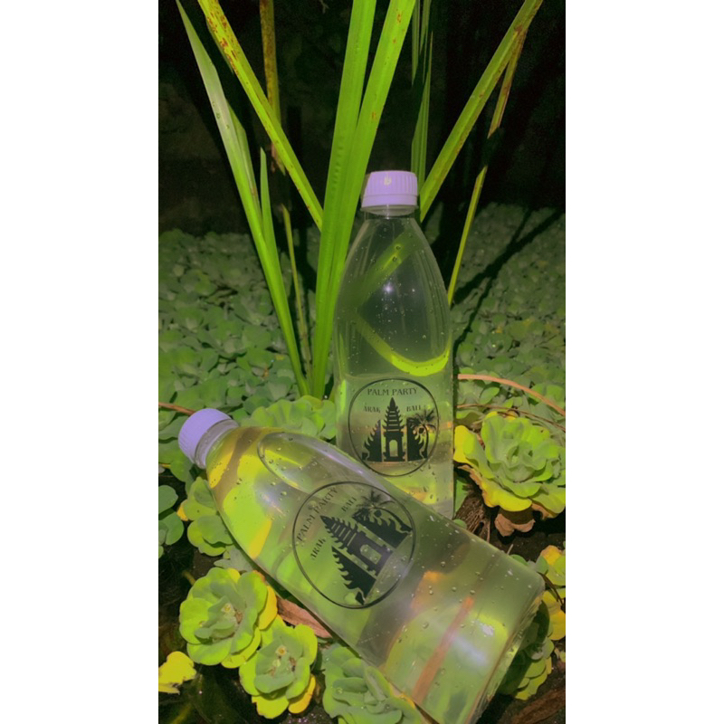 

Jamu buah aren khas karangasem bali botol cantik
