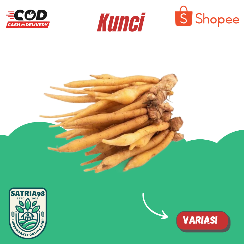 

Rempah Temu kunci super bagus langsung dari petani (COD)