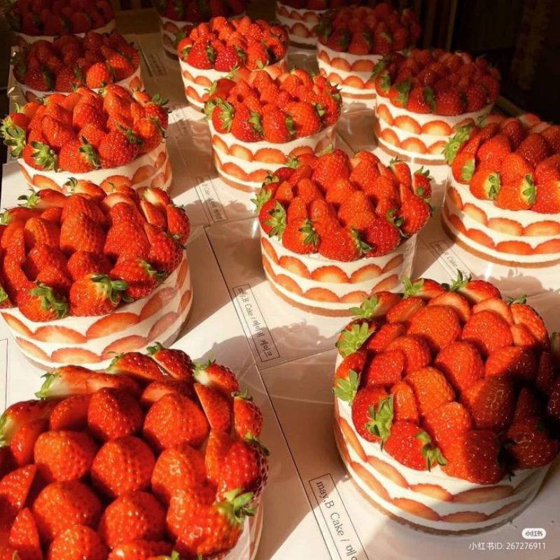 

bolu full strawberry