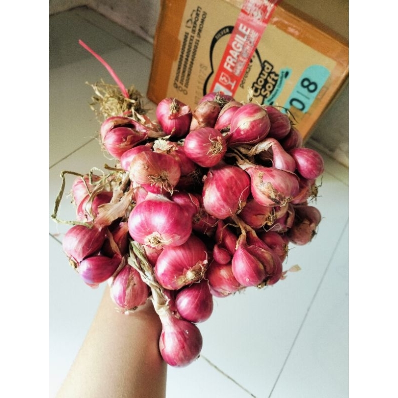

bawang merah super 2kilo full jumbo asli probolinggo