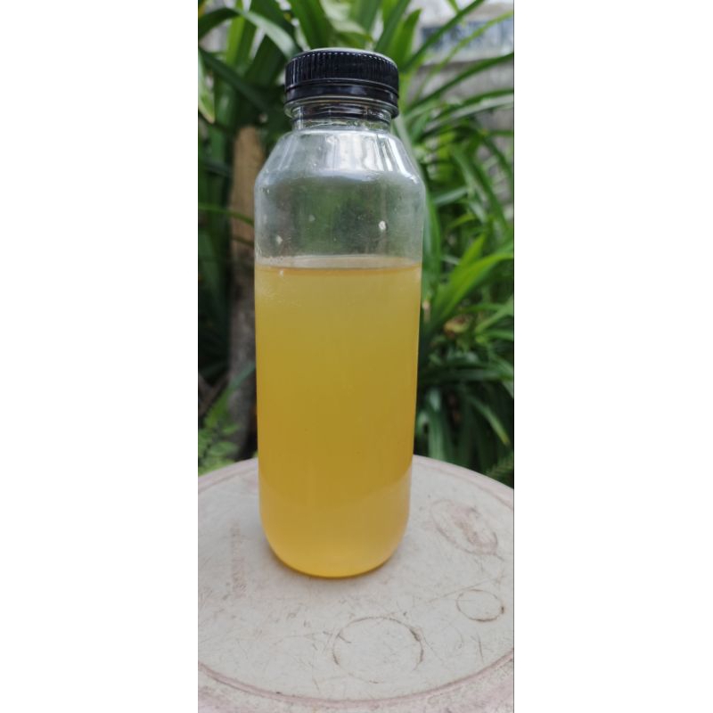 

Madu Hutan jenis lebah APIS DORSATA asli Sumatra 500Gram
