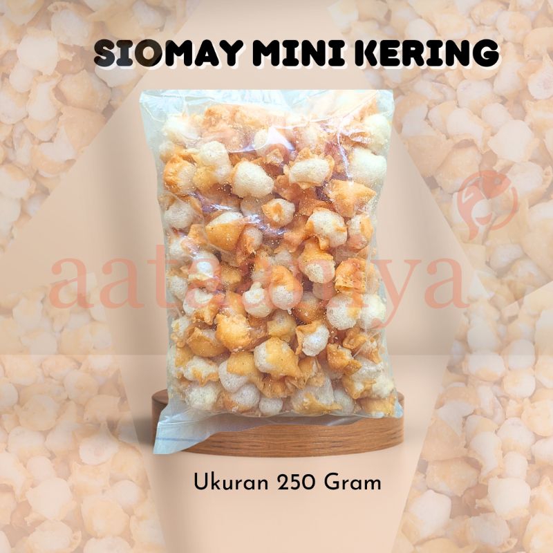 

SIOMAY MINI KERING BASO ACI RENYAH KRIUKK MURAH