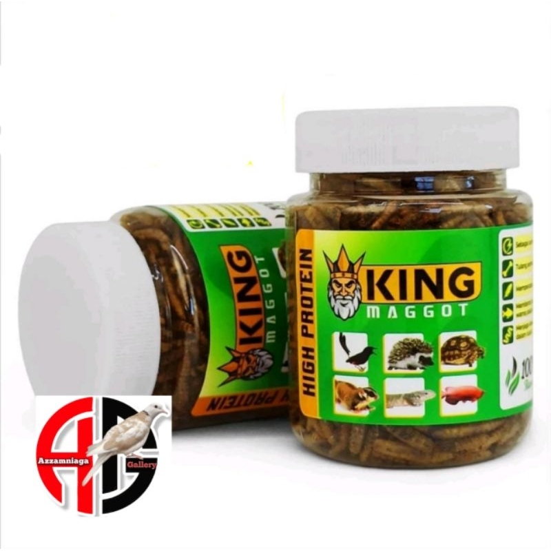 KING MAGOT SEMPATI MAGOT KERING PAKAN BURUNG SUGAR GLIDER MAGOT PAKAN  IKAN ARWANA