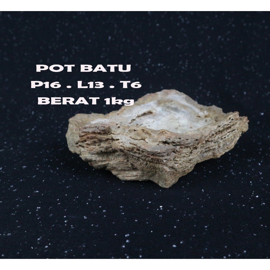 POT BONSAI BAHAN BATU (PB01)