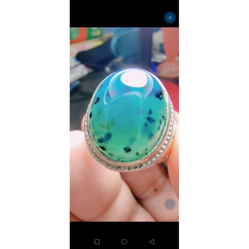 natural bacan Doko majiko