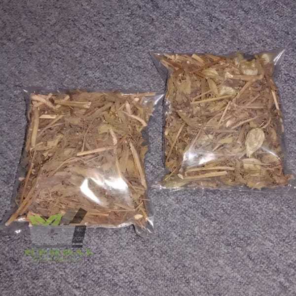 

Teh Batang Daun Ciplukan Atau Cecenet Kering Per Bungkus