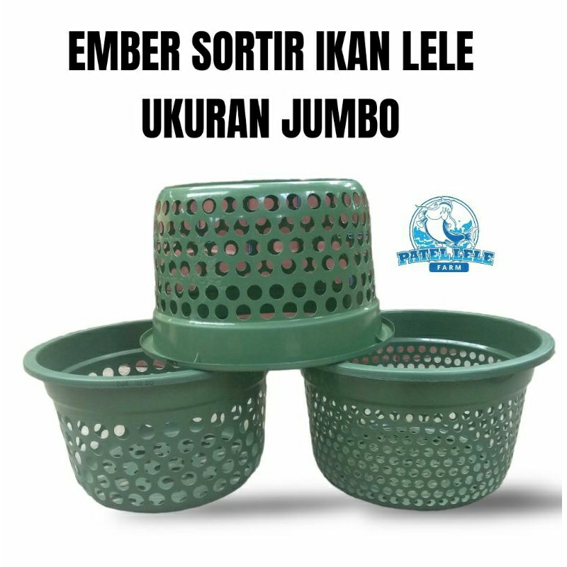 Ember  sortir lele konsumsi ukuran tinggi besar