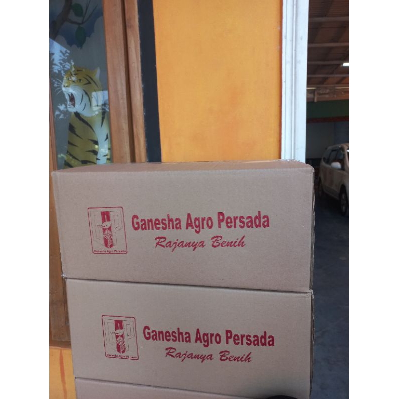 1KARDUS BENIH JAGUNG G-20 (20PACK/KG)