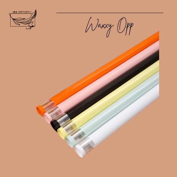 

(SW) TERLARIS PASTEL WAXXY OPP WRAPPING PAPER TRANSPARENT FRAME GOLD LINE FLOWER WRAPPING CELLOPHANE WATERPROOF KE