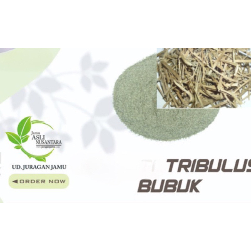

Tribulus Batang Daun kering bubuk