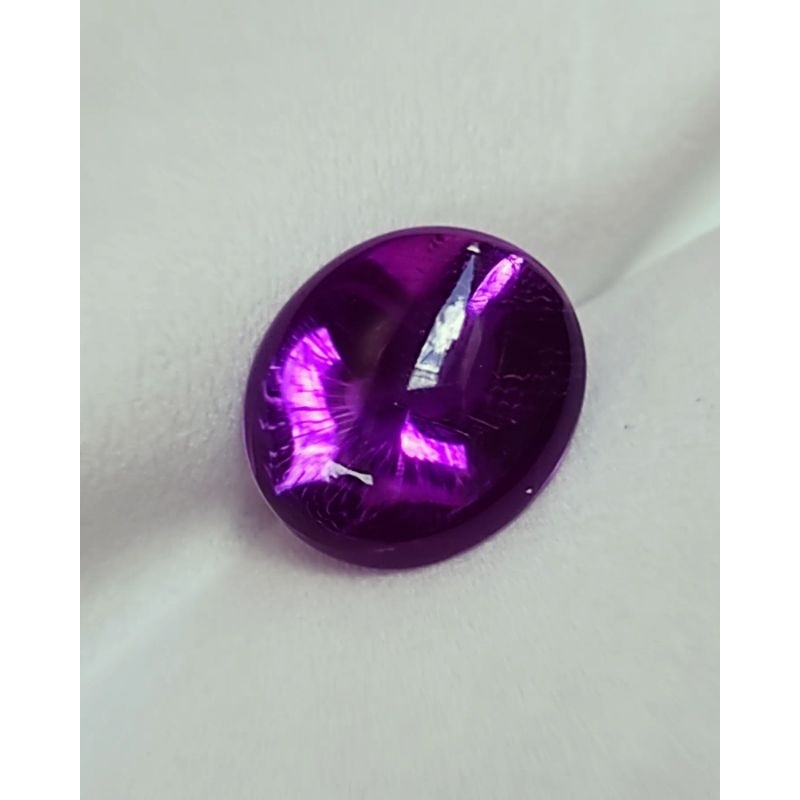 Kecubung Ungu Kecubung Kalimantan Kecubung Pangkalanbun