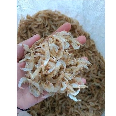 

UDANG PAPAI BESAR/UDANG REBON BESAR KEMASAN 250GR