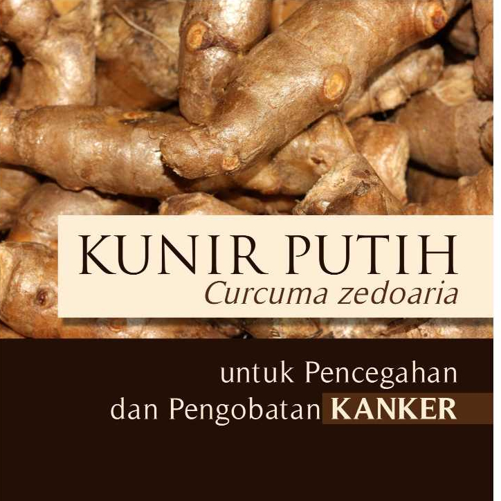 

UMBI KUNYIT PUTIH SEGAR