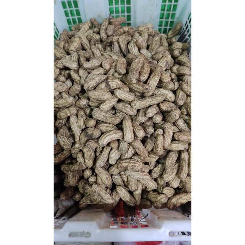 

Kacang Tanah Kulit Madu Mentah Basah / 500 gr