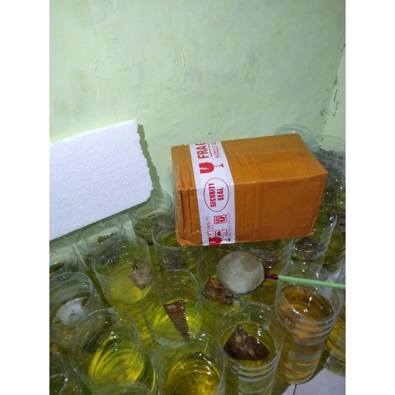 

packing kardus