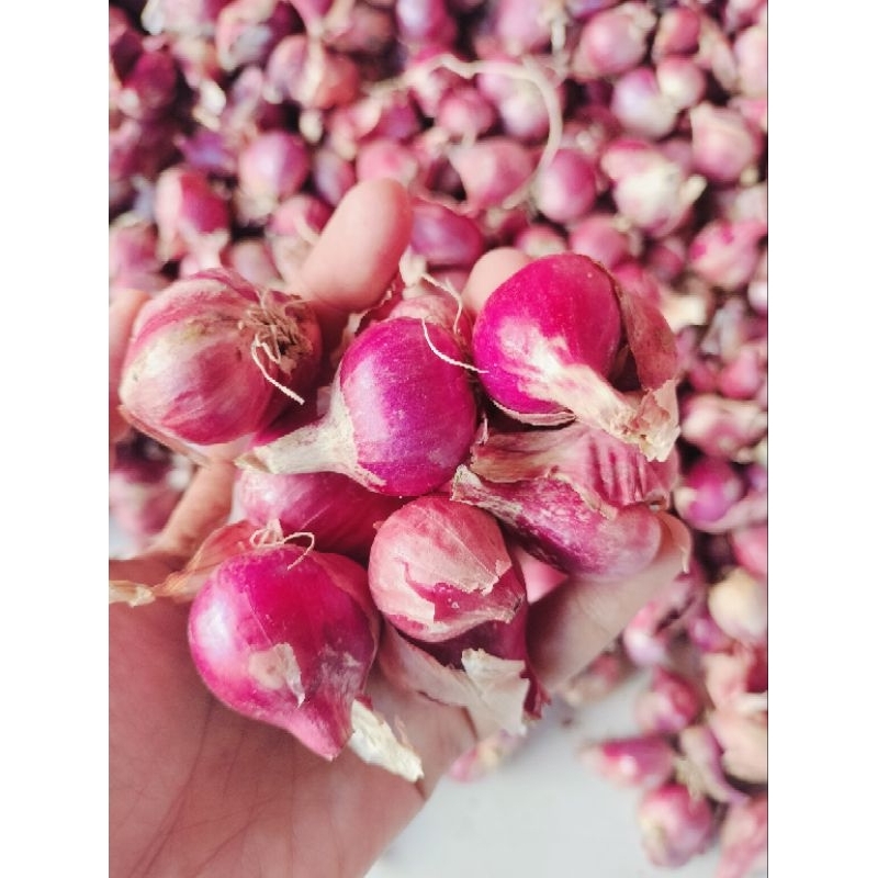 

bawang merah 1 kg asli Nganjuk