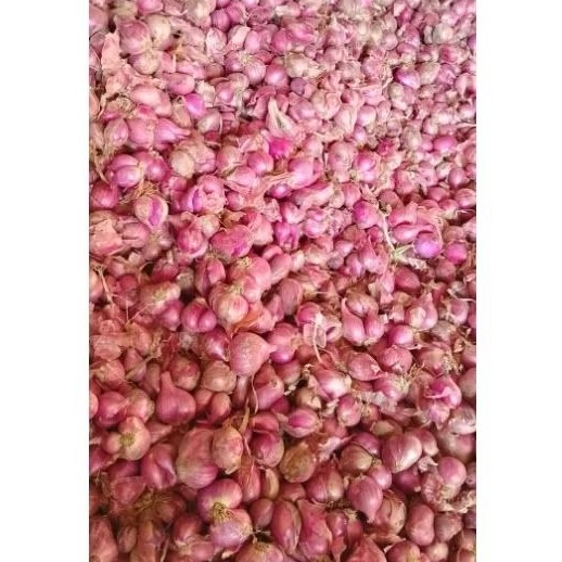

bawang merah kering sedang dan bagus 1kg