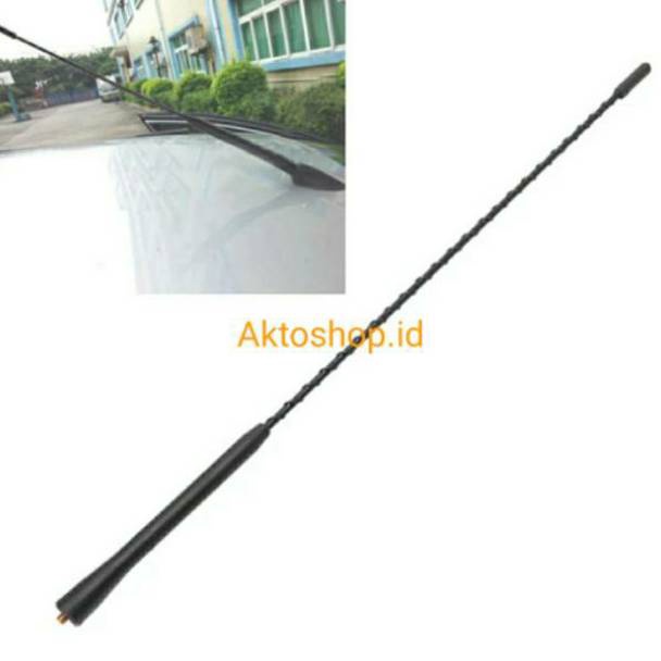 Special Pr ANTENA VARIASI ESPASS MOBIL PANJANG