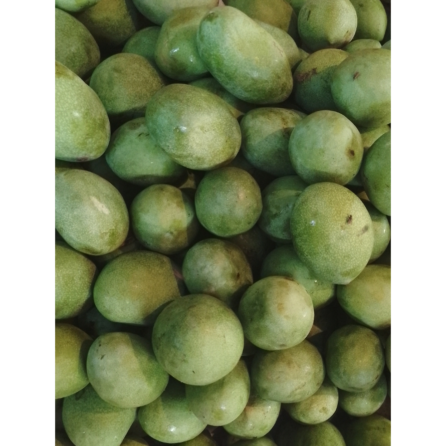 

Manggasimanalagisegar