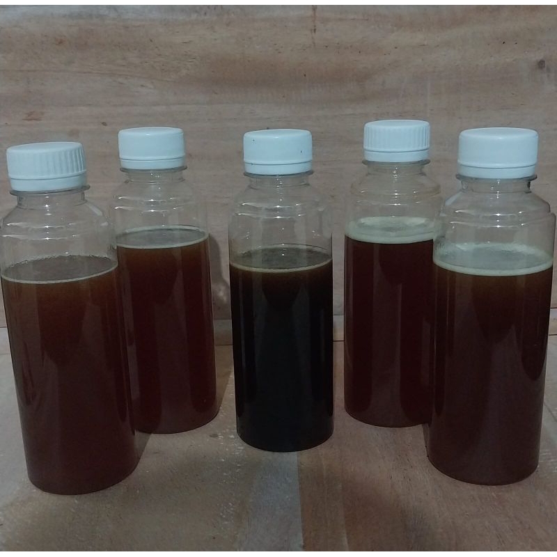 

Madu Cerana Apis