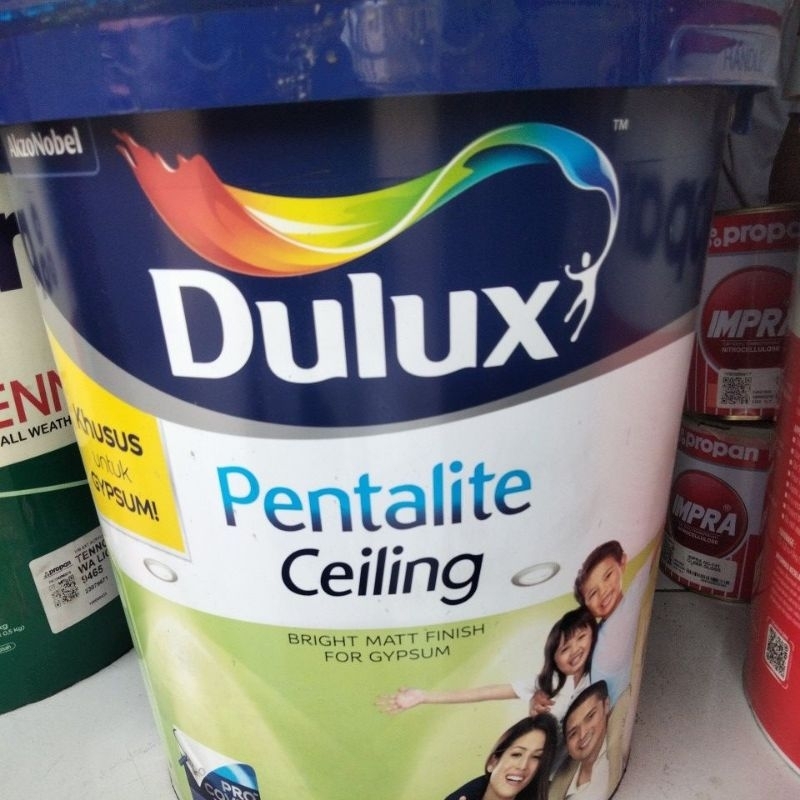 Dulux Pentalite Ceiling/Cat Plapon/cat gipsum 25kg