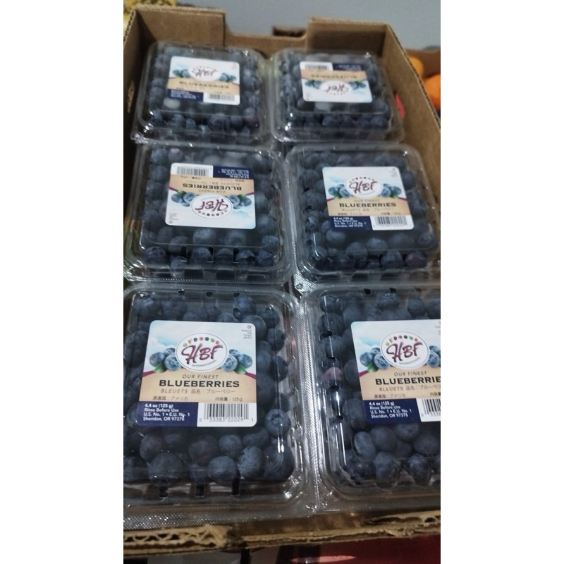 

Blueberry USA 1 pack