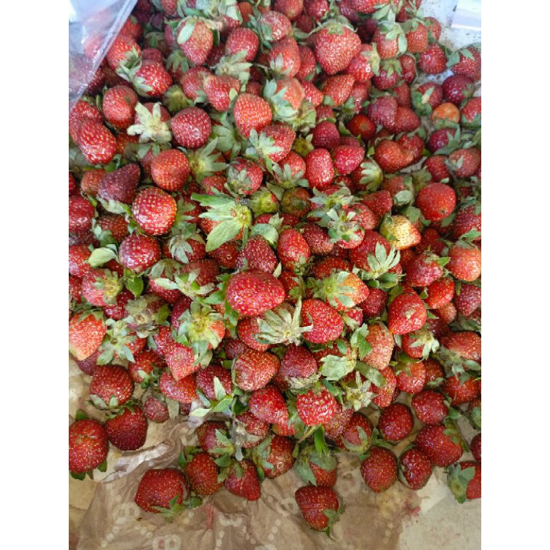 

strawberry kecil 250 gram