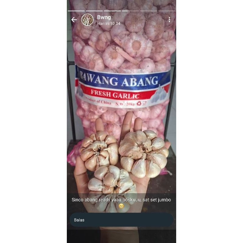 

bawang 500 gram