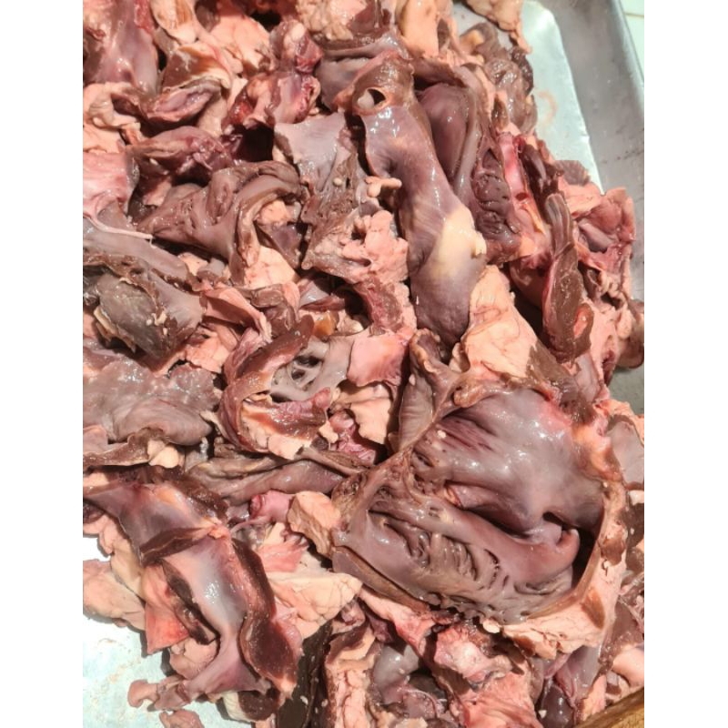 

TETELAN JANTUNG SAPI IMPORT 1KG. UNTUK CAMPURAN BAKSO