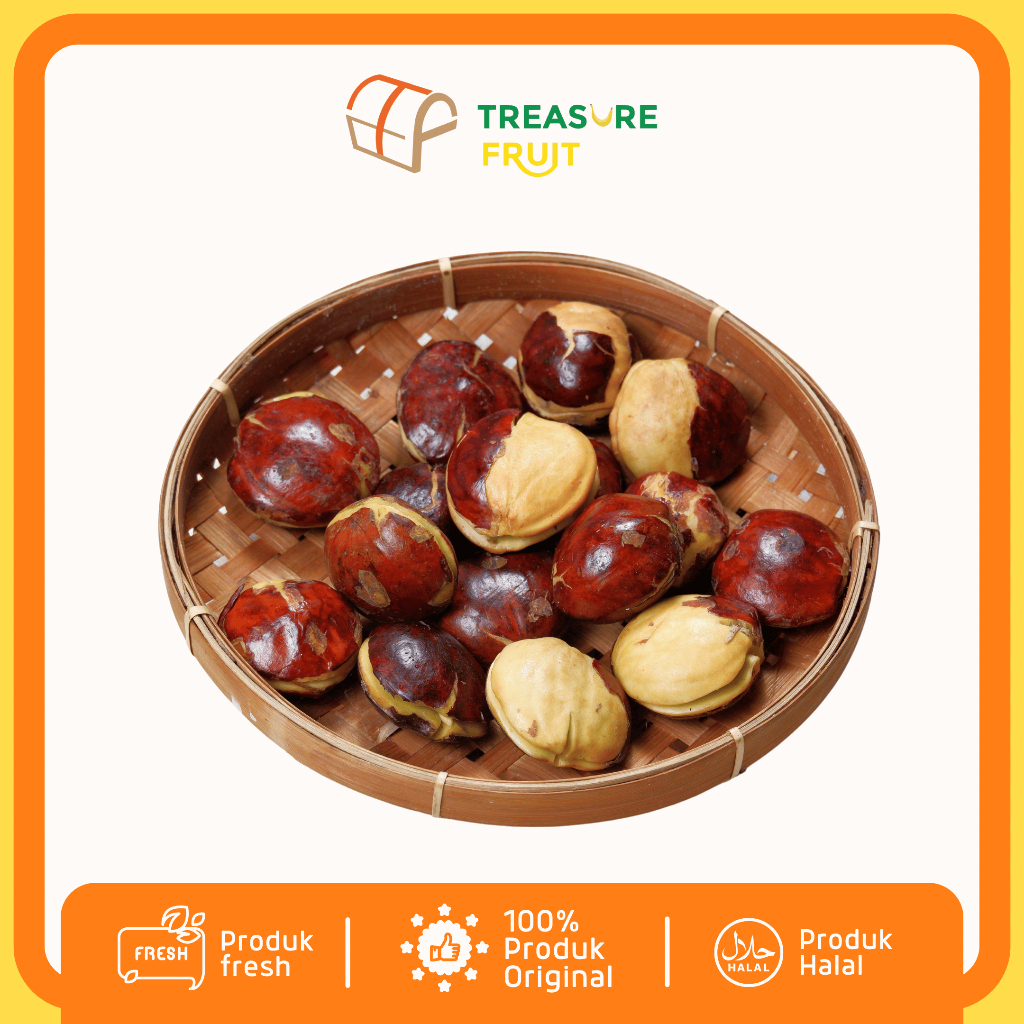 

JENGKOL Kualitas Premium I Treasure Fruit - Buah Sehat dan Segar