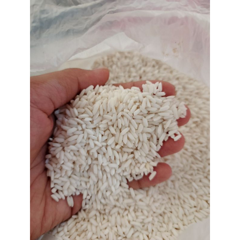 

Beras Ketan Putih Premium Untuk Berbagai Jajanan Nusantara