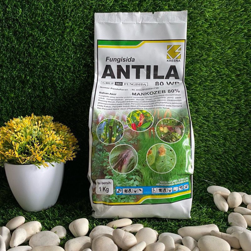 ANTILA 80 WP MANKOZEB 1 KG