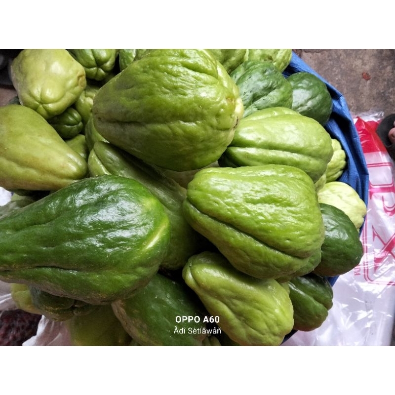 

Labu Siam