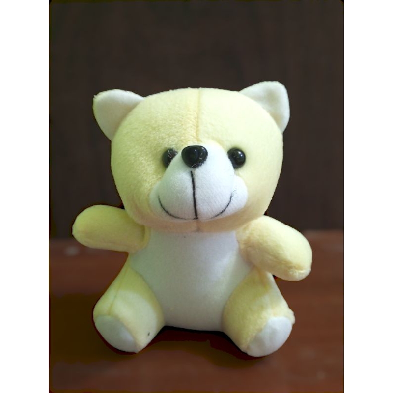 Boneka bear mini  15cm capit dan bucket