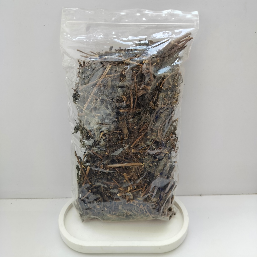 

TEMPUYUNG KERING ASLI |DAUN TEMPUYUNG