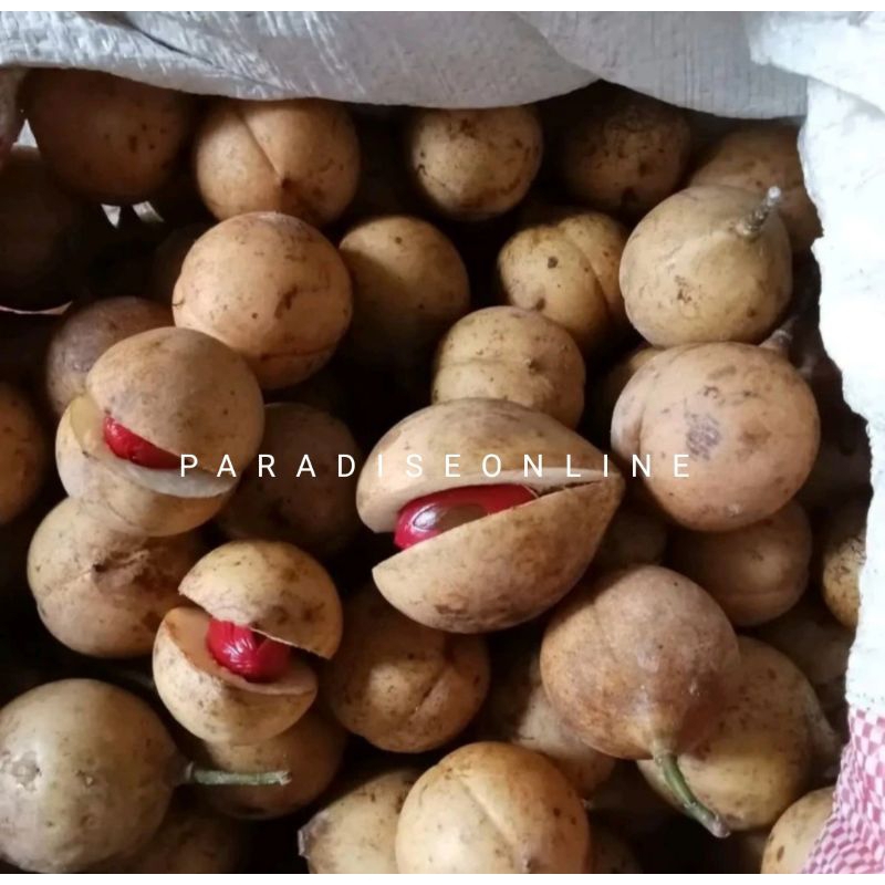 

buah pala utuh belum di kupas 1 kg