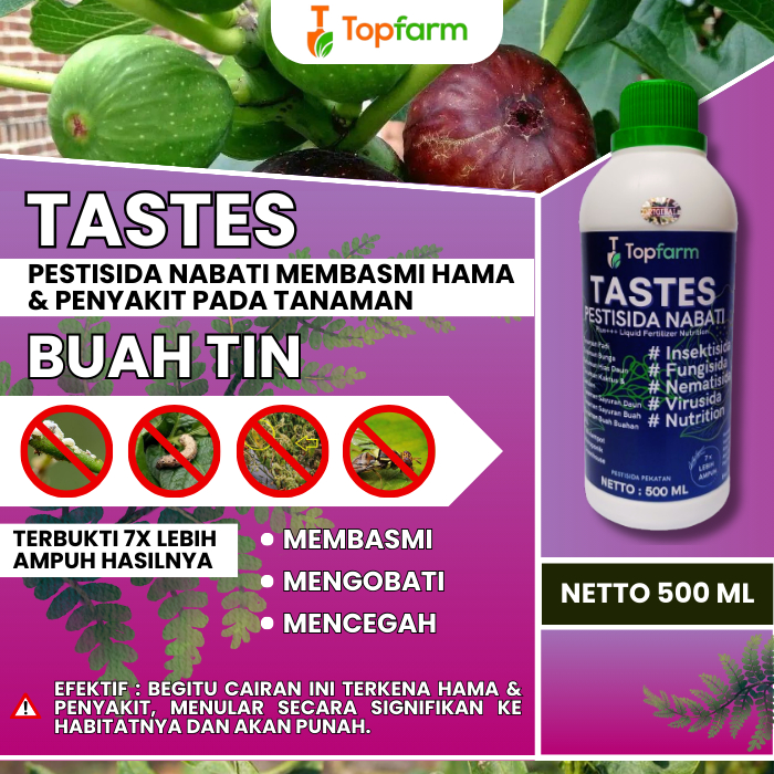 Obat Hama Buah Tin / Obat Hama Untuk Buah Tin / Obat Pembasmi Hitam Tanaman Buah Tin / Obat Hama Tan