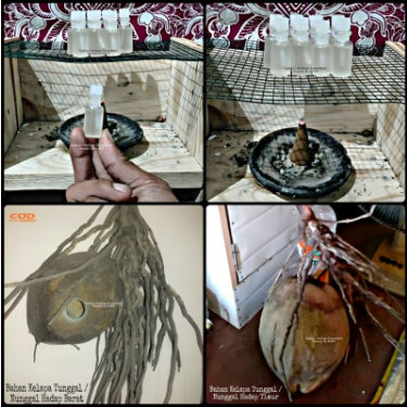 

Minyak Kelapa Tunggal Nunggal Murni Alami