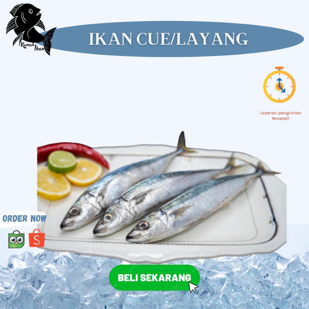 

Ikan Cue Layang Segar 1Kg