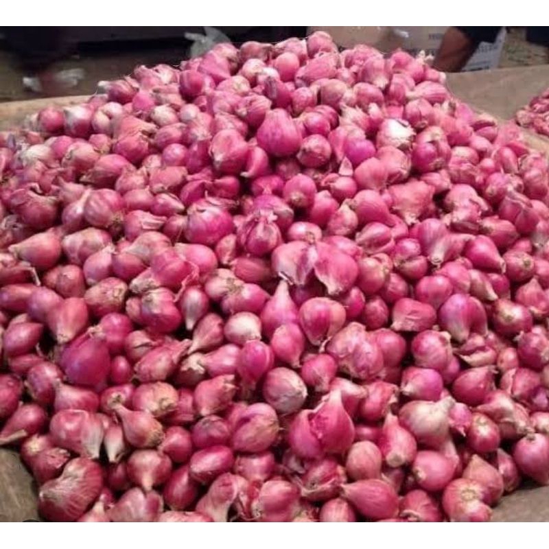 

Bawang Merah 1/2 kg