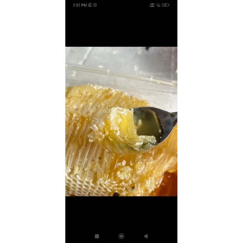 

MADU ORIGINAL WANYI KALIMANTAN ROYAL JELLY HONEY