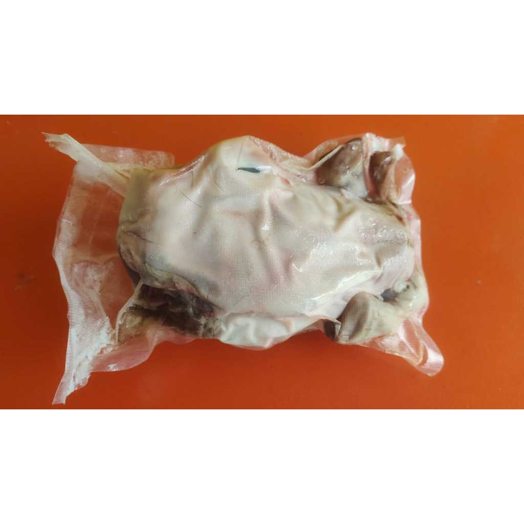 

kepala kabing muda dan kaki sudah bersih satu set, satu kepala 4 kaki